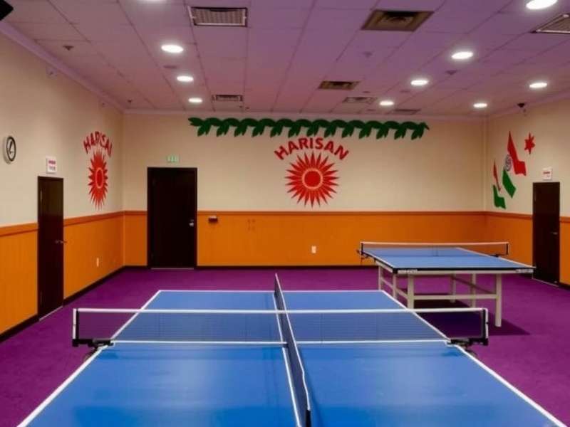 Indian-themed ping pong courts Indian-themed ping pong courts